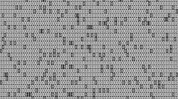 1660253252323 Binarycodegray 1660253252323 Binarycodegray