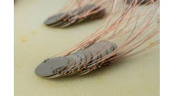 shutterstock_2226742973