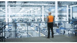 shutterstock_2453324903