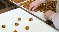 Workers carefully place grillage on a conveyor in a food production facility during busy daytime operations, ensuring quality and consistency of the product.